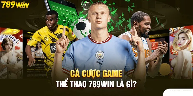 Những kinh nghiệm cá cược thể thao luôn thắng tại 789win cho các thành viên